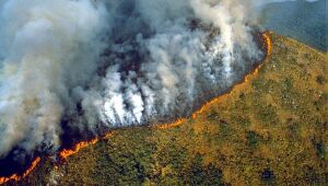 Amazônia tem 14º mês seguido de aumento de desmate, e derrubada em junho é a maior desde 2016