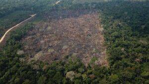 Nove ex-ministros do Meio Ambiente pedem que europeus ajudem Amazônia na pandemia