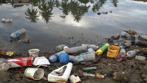 Pessoas buscam reduzir geração de lixo e o impacto ao meio ambiente