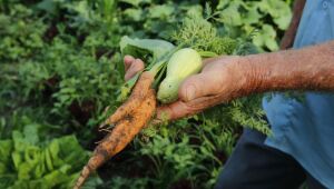 CMN flexibiliza regras para crédito rural a pequenos produtores