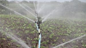 Governo repassa R$ 72,9 milhões a estados para a agricultura familiar