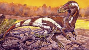 Pesquisadores apresentam fóssil de dinossauro encontrado no Ceará