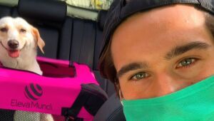 Nicolas Prattes adota cachorra após antiga dona morrer de Covid-19