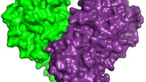 Primeiras imagens do novo acelerador de elétrons do Brasil são de proteínas do novo coronavirus