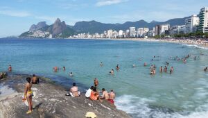 Elefante-marinho vira atração de surfistas e banhistas no Rio