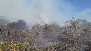 Incêndio no Pantanal avança e está próximo de maior hotel da região