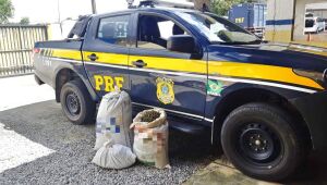 Quatro pessoas são detidas com 28 quilos de maconha em Caruaru