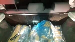 Homens são detidos com 19 quilos de maconha em Arcoverde