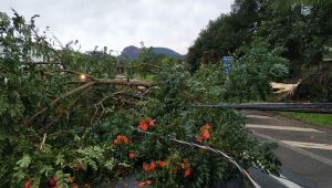 Santa Catarina volta a enfrentar chuvas, ventos e alagamentos