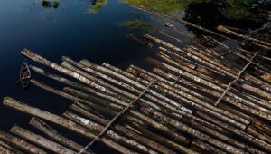 Plano do governo apresenta metas para reduzir desmatamento na Amazônia