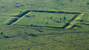 Geoglifos da Amazônia pré-histórica foram aterrados para plantio de milho e para pasto