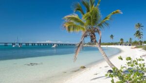 Visit Florida: percorra virtualmente mais de 1,3 mil km de praias!