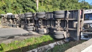 Carreta com carga de alumínio para reciclagem tomba na BR-101, em Palmares