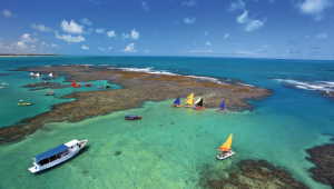 Corais são replantados em Porto de Galinhas em luta contra branqueamento