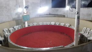 Rinhas de galo são fechadas em Sertânia e Arcoverde, no Sertão