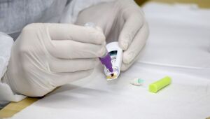 País tem nove estados com queda e sete em aceleração de novas mortes