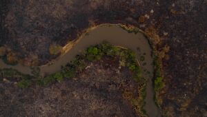 Três visões sobre o presente e o futuro do Pantanal
