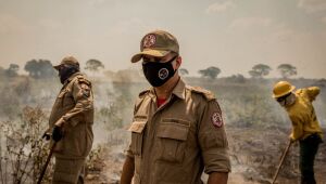 Ministros da Agricultura e Meio Ambiente confirmam ida ao Pantanal