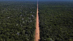 Governo decide prorrogar até abril de 2021 presença das Forças Armadas na Amazônia Legal