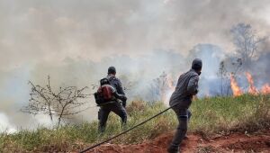 Incêndio destrói parte de reserva da Mata Atlântica em Bauru, no interior de SP