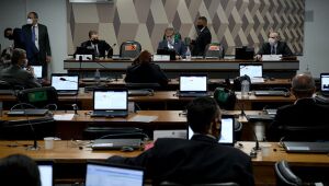 Aprovados indicados para embaixadas do Brasil na Estônia, em Mali, no Suriname e no Nepal