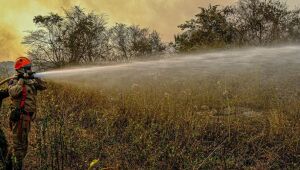 Mato Grosso pede ajuda da Força Nacional no combate a incêndios