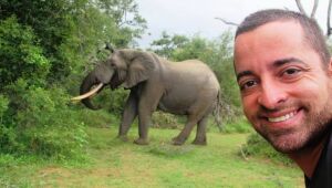 Safári na África: como ir, o que fazer e o que ver nesta aventura