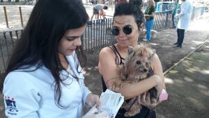 Vacinação de cães e gatos contra a raiva, no Recife, começa neste sábado (24)