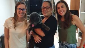 Cão que saltou em canal em Boa Viagem volta para casa