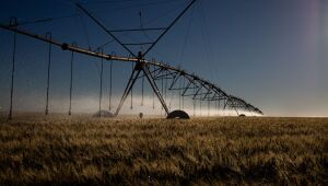 Câmara aprova MP que facilita captação de recursos para o setor rural