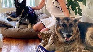 Biden fratura o pé direito durante brincadeira com o cachorro