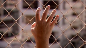 Maria da Penha Virtual agiliza pedidos de medida protetiva no Rio