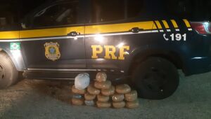 Motorista é detido com 17 quilos de maconha na BR-428, em Cabrobó