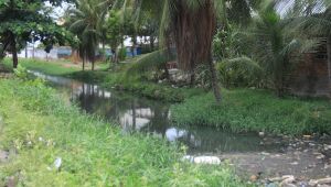 Canal em Olinda tira sossego de moradores