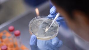 Pernambuco investiga reinfecção por Covid em Fernando de Noronha; total no Estado sobe para 11