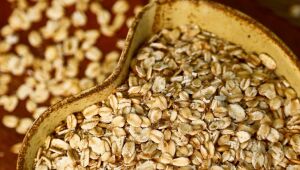 Aveia é ingrediente útil no ganho de massa magra