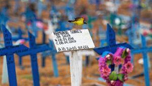 2020 foi o ano mais mortal da história do Brasil, segundo dados dos cartórios