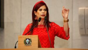 Alepe aprova por unanimidade projeto contra fura-fila