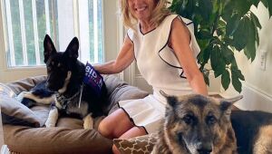 Membros da família Biden, cachorros Champ e Major são os novos mascotes da Casa Branca