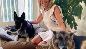 Membros da família Biden, cachorros Champ e Major são os novos mascotes da Casa Branca