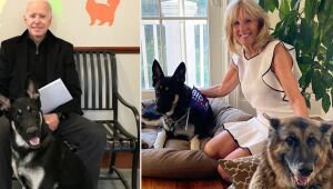 Membros da família Biden, cachorros Champ e Major são os novos mascotes da Casa Branca
