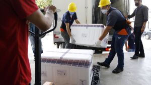 Vacinas de Oxford/AstraZeneca que chegaram a Pernambuco irão para os idosos a partir de 85 anos