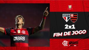 Mesmo com derrota, Flamengo é campeão brasileiro da Série A