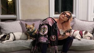Lady Gaga tem dois cachorros roubados após passeio com 'dog walker'