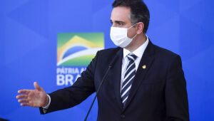 Pacheco e Queiroga discutem uso de fábricas de vacina animal para produzir imunizante contra Covid