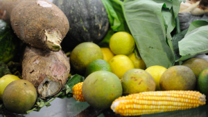 ONU: 931 milhões de toneladas de alimentos foram para o lixo em 2019