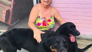 Família recupera cães que fugiram após 'abrirem' portão eletrônico