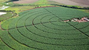 Agro recorre a ESG para tentar minimizar seus impactos ambientais