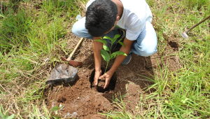 Suape abre cursos gratuitos de pedagogia ambiental 2021