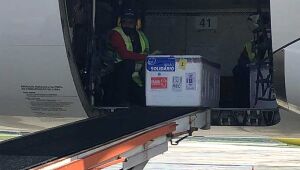 Pernambuco recebeu, nesta sexta, remessa com 142 mil doses de vacinas contra Covid-19